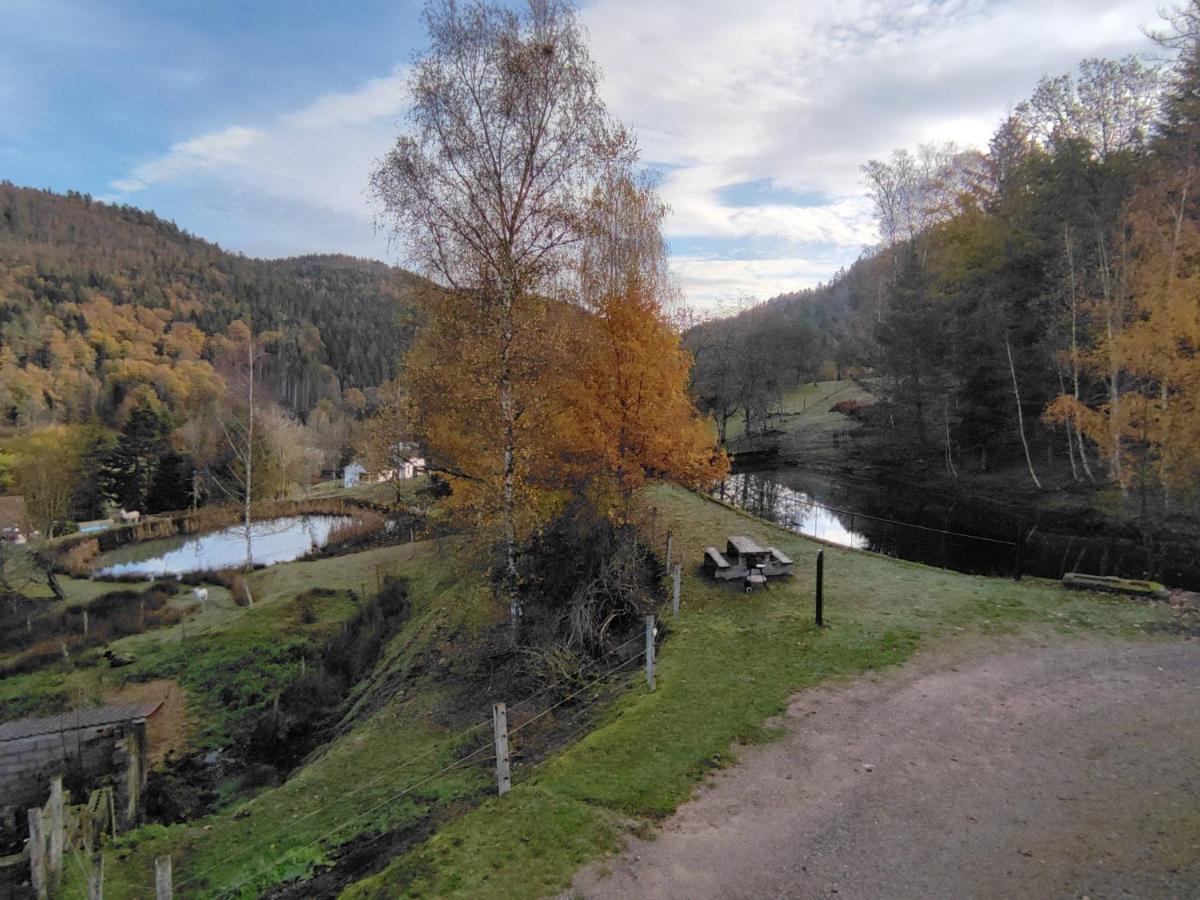 A L'oree Du Bois Holiday home *